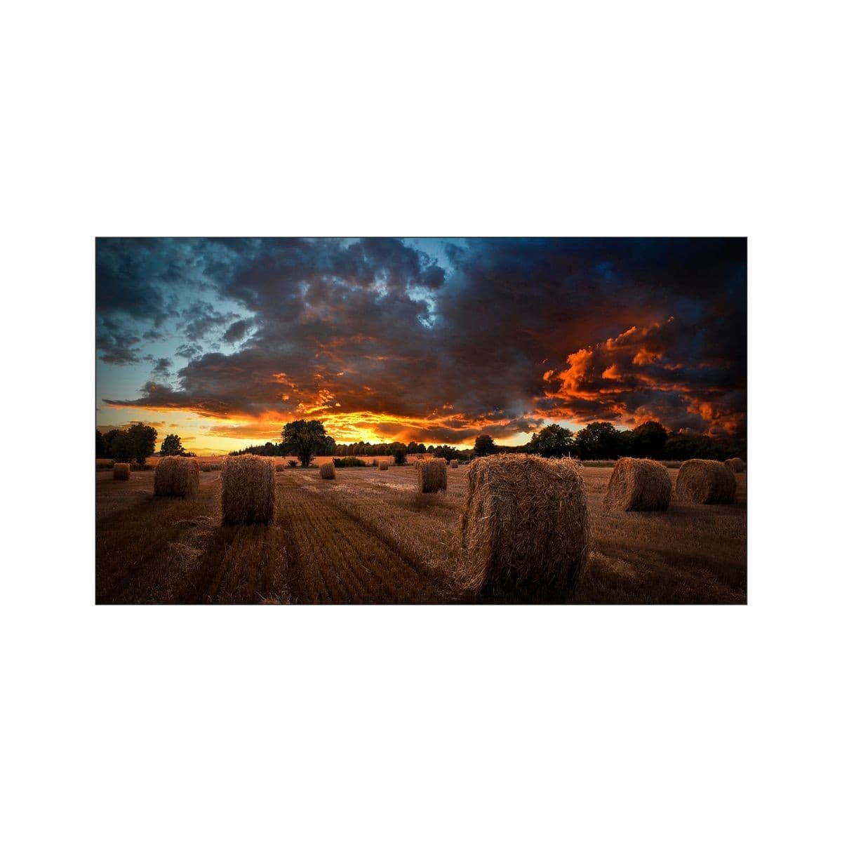 Pantallas Samsung Video Wall 55" Vm55b-U Ultra Nar