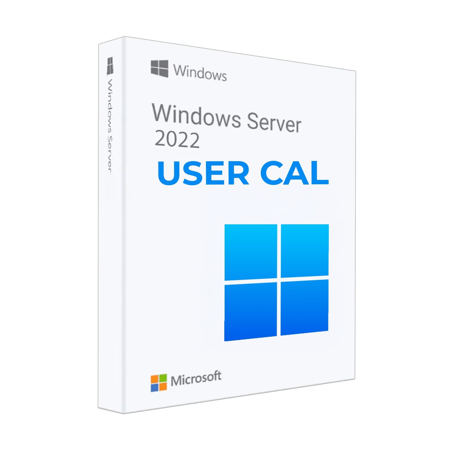 Microsoft Windows Server 2022 - 1 User Cal