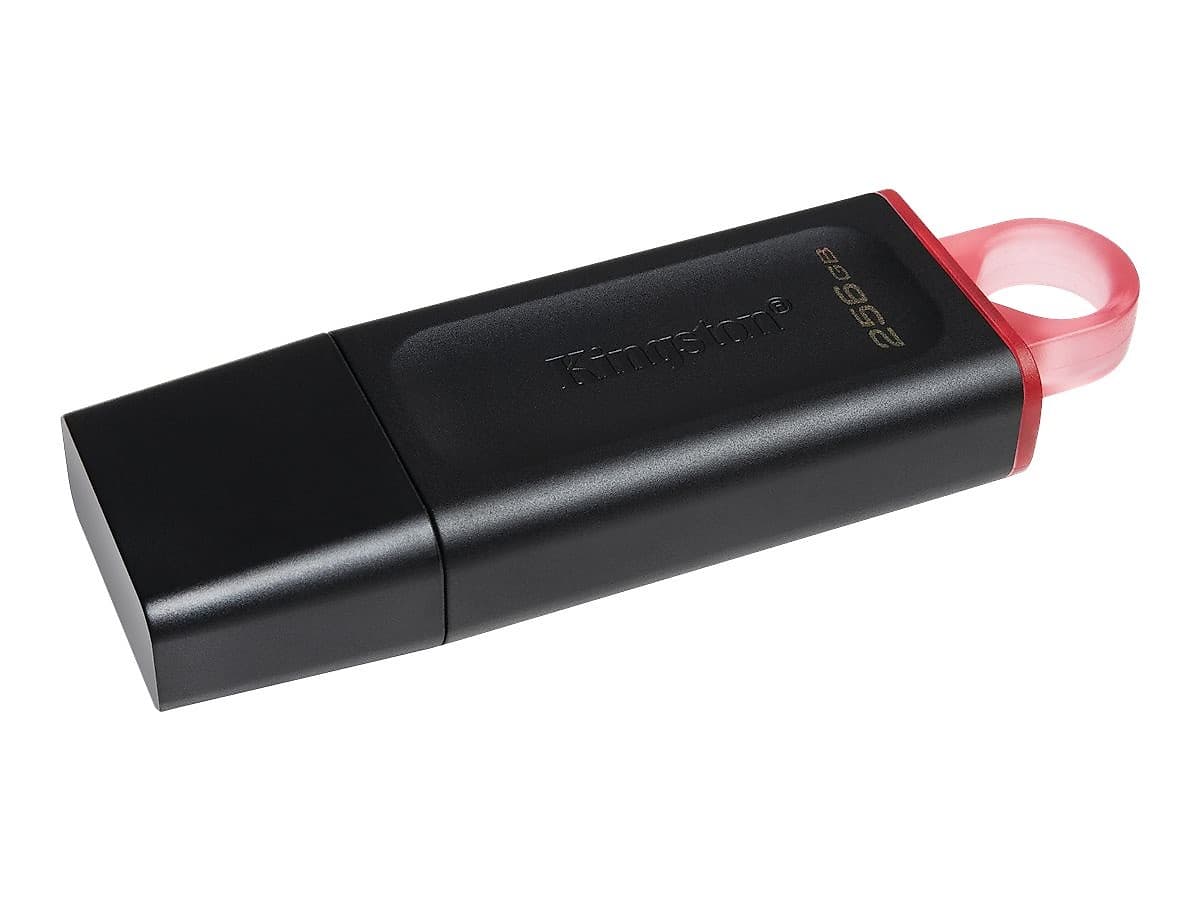 Kingston Datatraveler Exodia - Unidad Flash Usb - 256 Gb