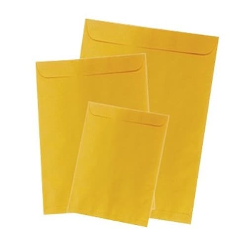Sobre Celucat/Revista/Oro/80grs/22.9x32.4cms/100uni