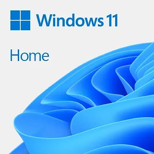 Windows 11 Home Esd