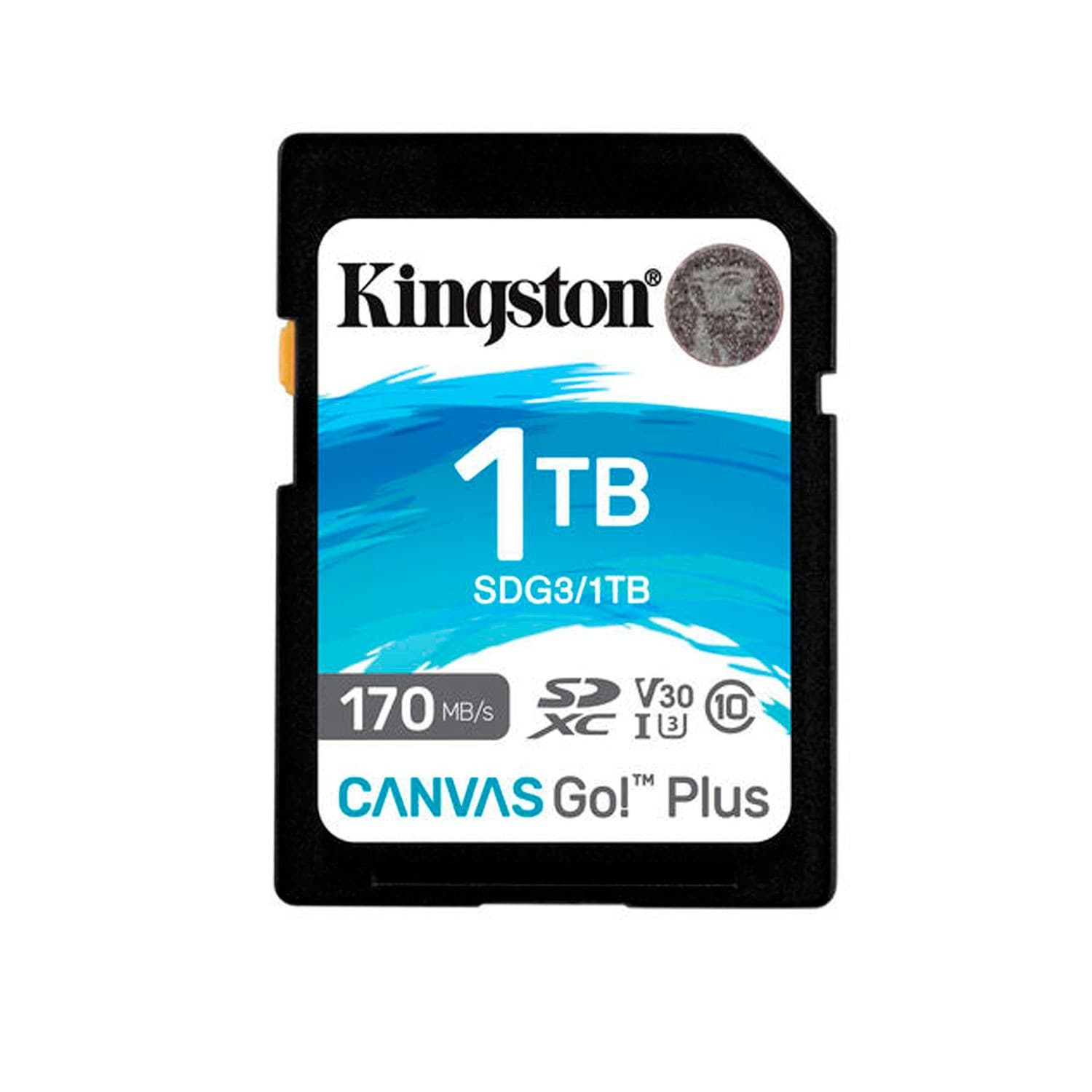 Tarjeta Sd Kingston 1tb Canvas Go Plus G4