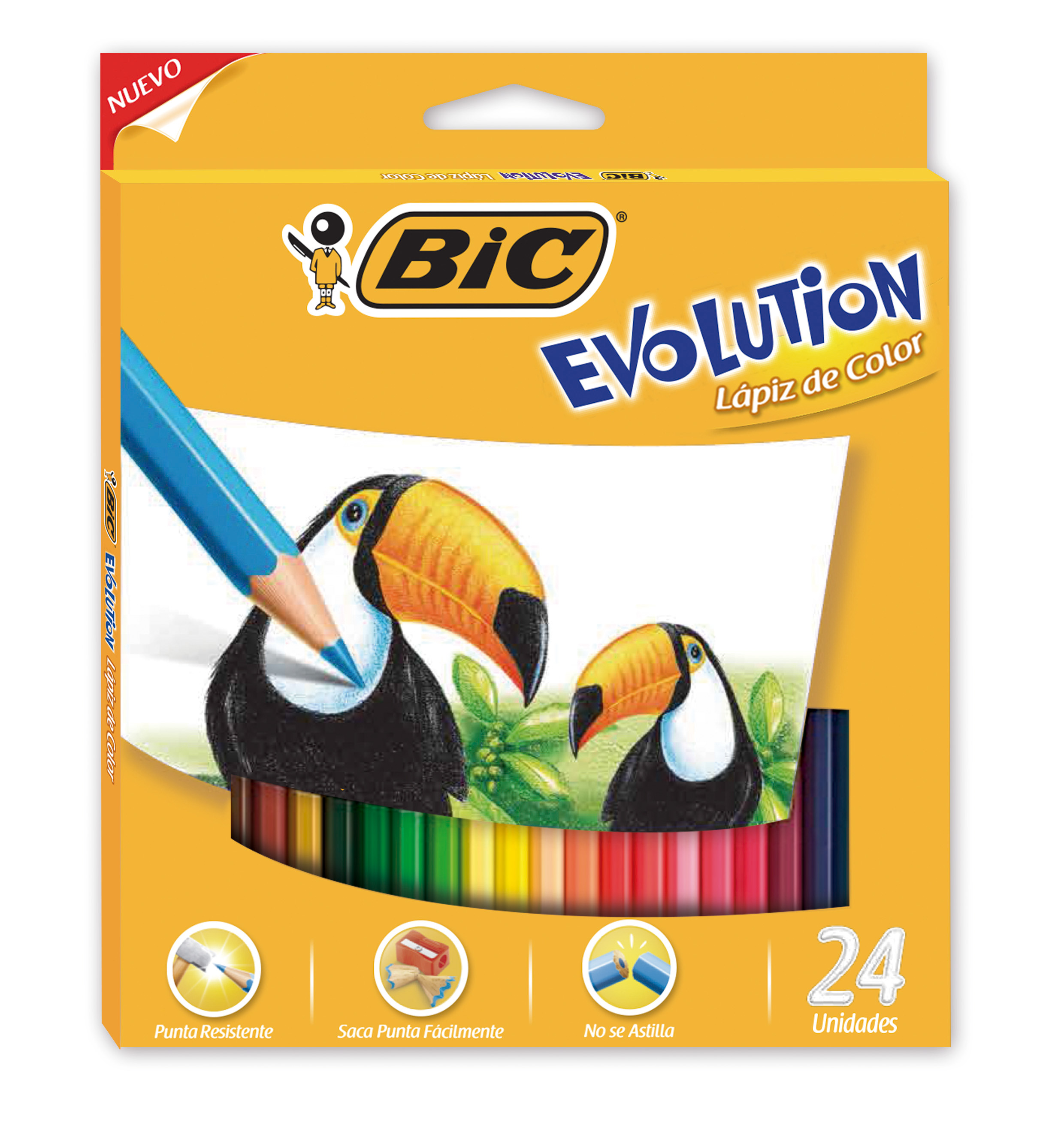 LAPICES DE COLOR BIC EVOLUTION LARGO ESTUCHE X24U