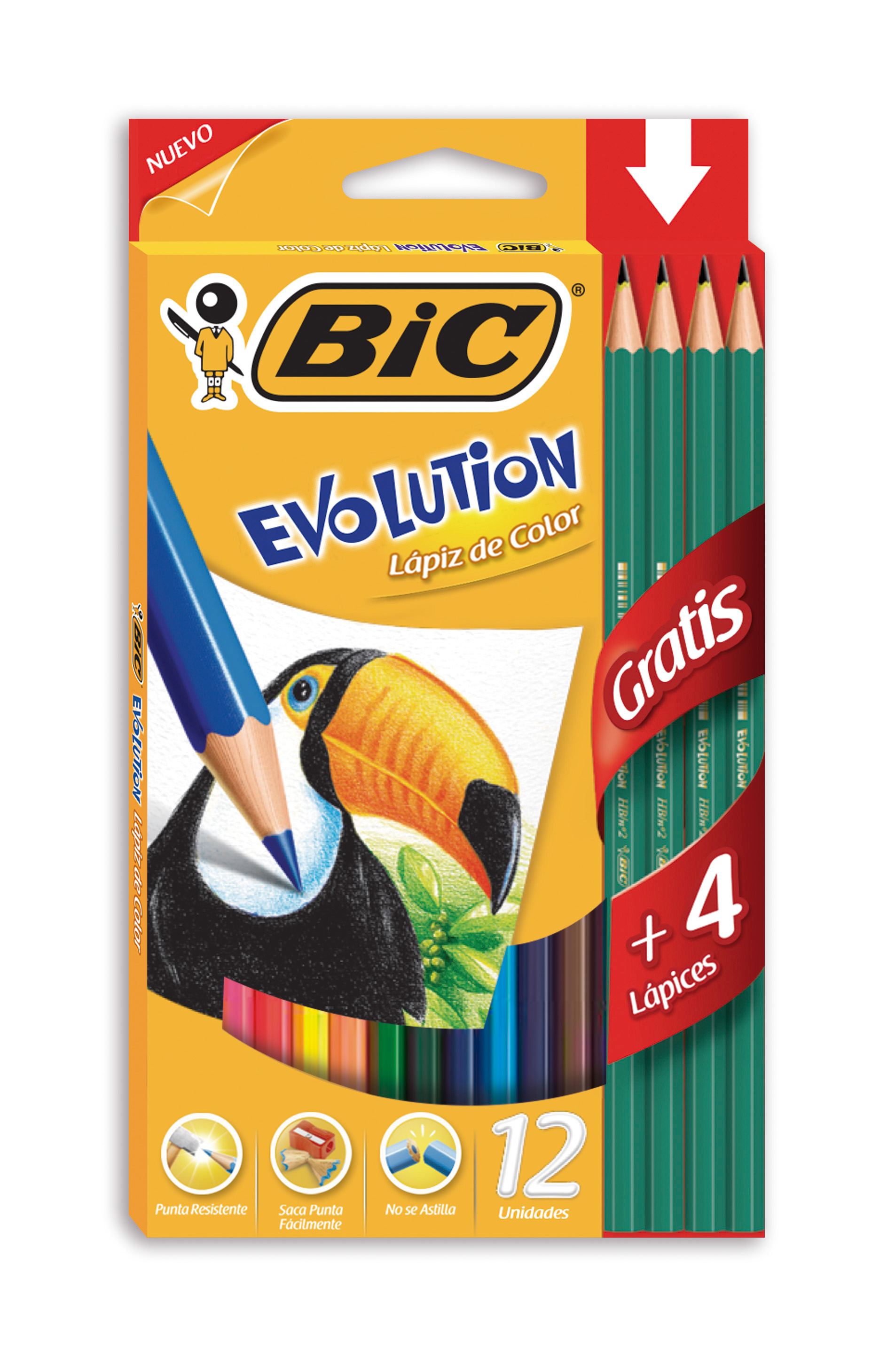 LAPICES DE COLORES BIC EVOLUTION PUNTA GRUESA 4MM X 12U
