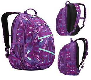 CASE LOGIC BPCA315 MOCHILA BERKELEY II 15.6