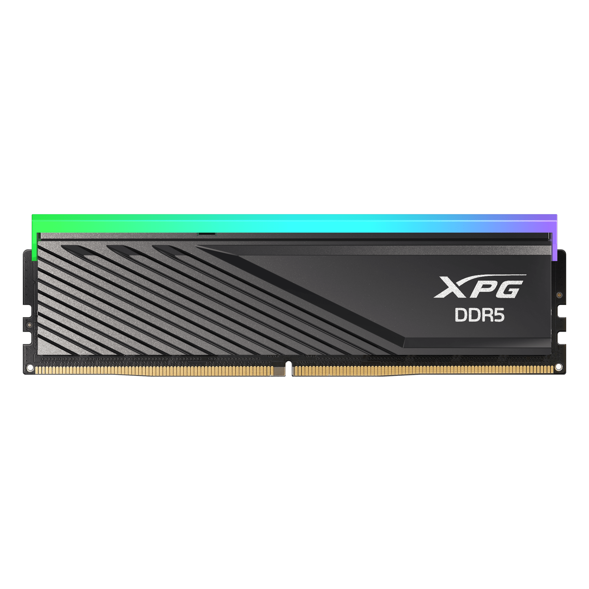 Memoria ram Adata Xpg Rgb Ddr5 16gb 6400mhz Cl32 Negro