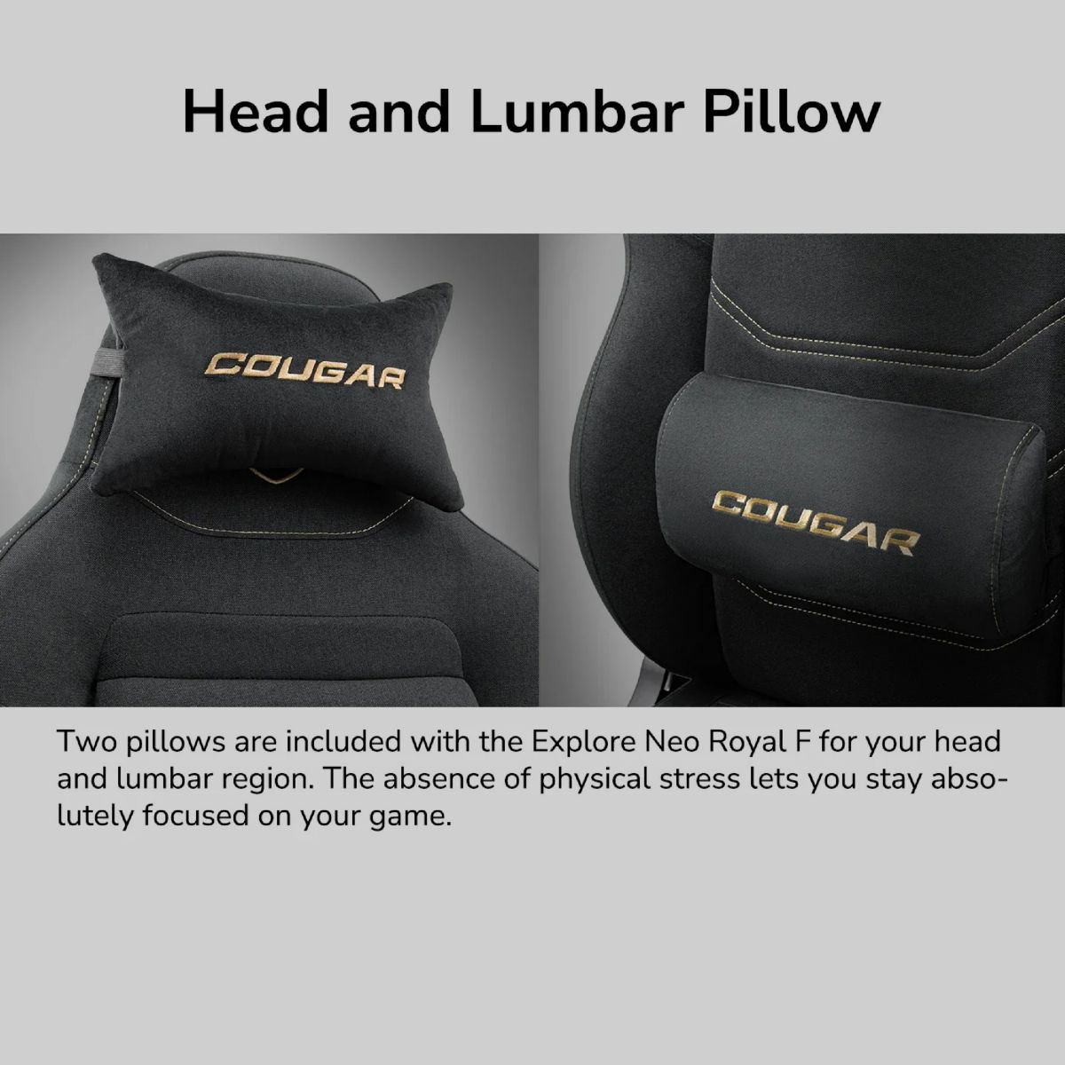 Silla Cougar Explore Neo Royal F Open Box