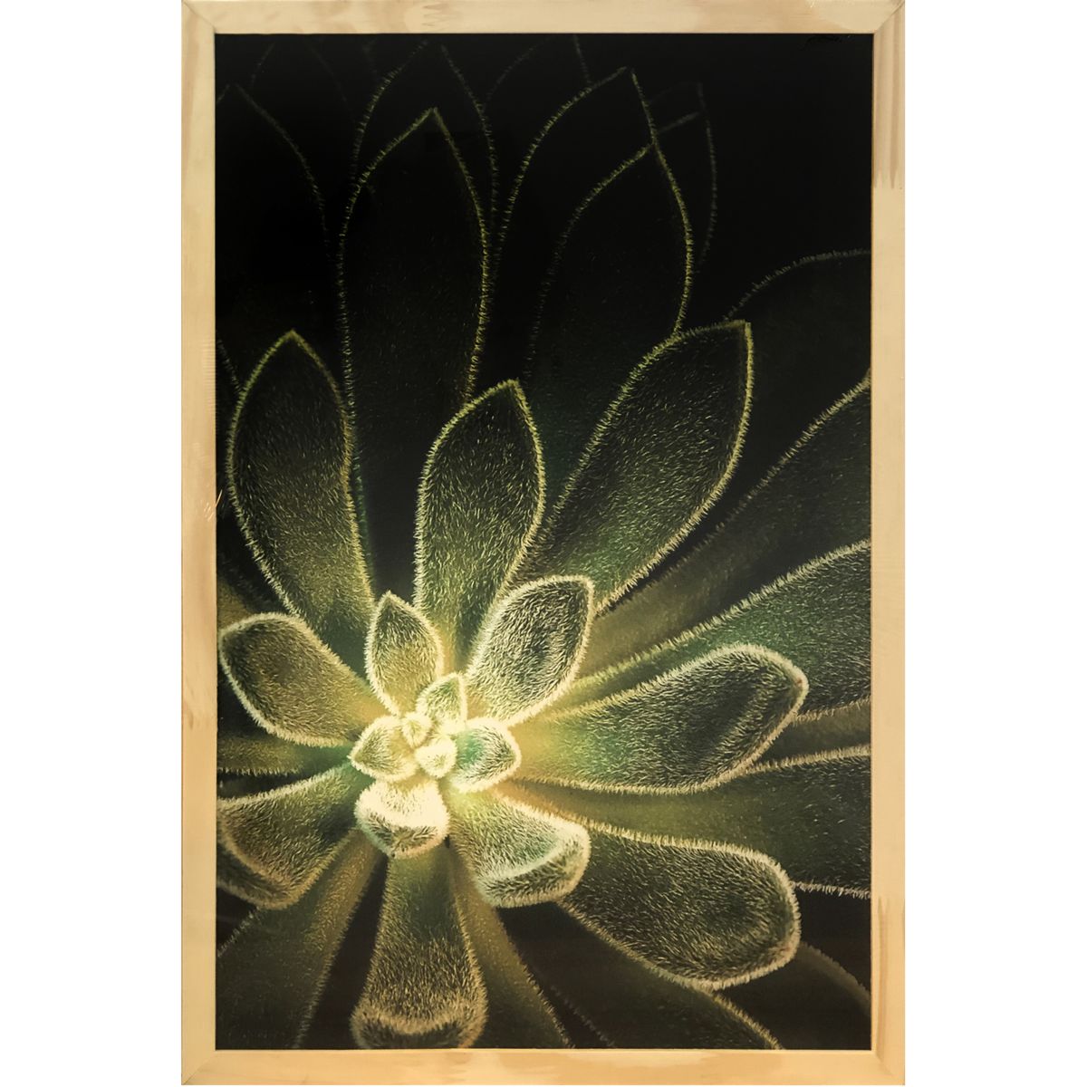 Cuadro 40*60 Moldura pino /CACTUS