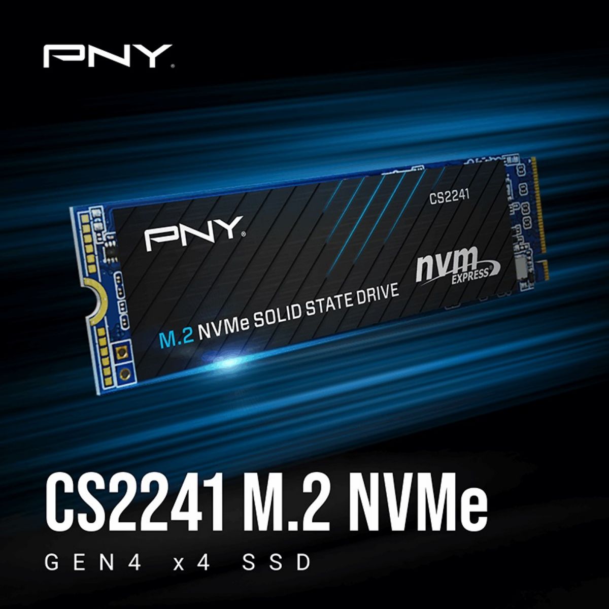 Disco SSD M2 2280 Nvme 500GB PNY Cs2241