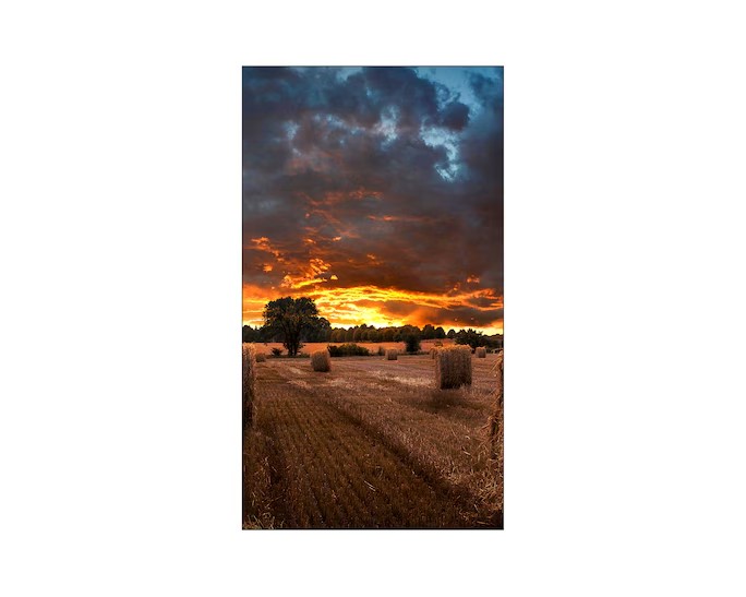 Pantalla Samsung Video Wall 55