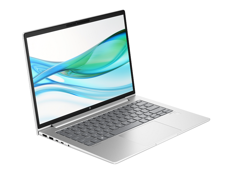 Notebook HP ProBook 445 G11 14 Ryzen 5 16GB 512GB W11P