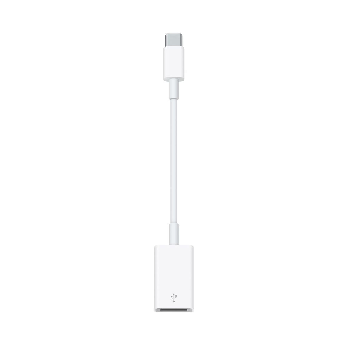 Adaptador USB-C a USB Apple MJ1M2AM/A Blanco