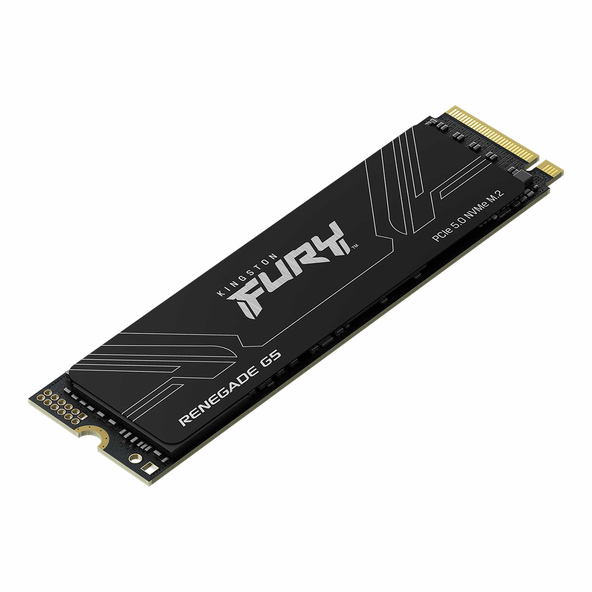SSD Kingston Fury Renegade G5 1TB PCIe 5.0 NVMe